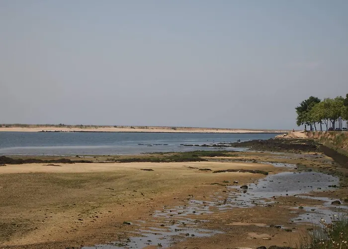 Hipster's Dream By The River Porto